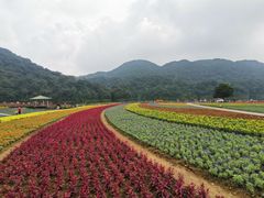 -广州市石门国家森林公园