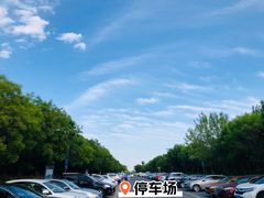 -西青郊野公园