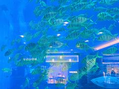 -成都浩海立方海洋公园