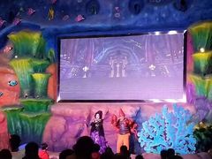 -青岛嘉年华主题乐园