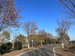 -莲花岛景区