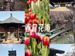 -陈武帝故宫