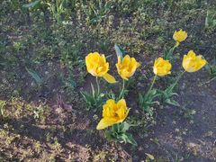 -长春公园(普阳街道)