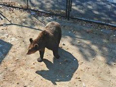 -大连森林动物园