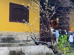 -西园戒幢律寺
