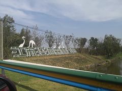 -盐城丹顶鹤湿地生态旅游区