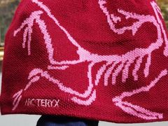 -ARC'TERYX始祖鸟(北京王府中环店)