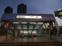 -大龙山(地铁站)