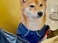 -凯德广场(西城店)