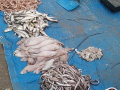 -青岛沙子口国家中心渔港