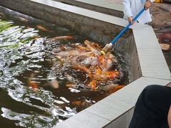 -荆州中山公园动物园