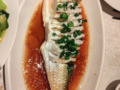 -金美华轩(东方路齐鲁店)