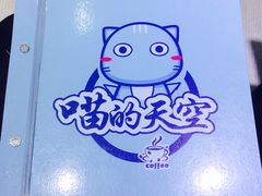 -喵的天空名猫咖啡馆·撸猫·猫舍·用品