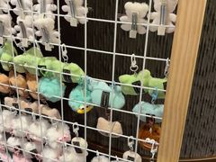 -一绪に和牛寿喜烧(罗湖益田假日店)