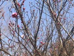 -华山御温泉度假村