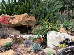 -东莞植物园