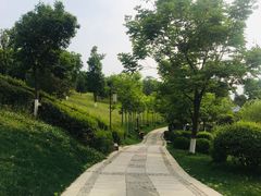 -鹦鹉寺公园