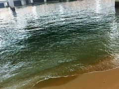 -演武大桥观景平台