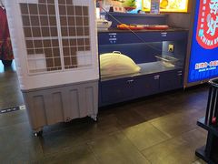 -秦炉烤肉(财富中心店)