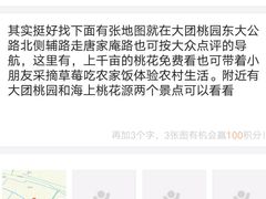 -南汇水蜜桃采摘(大团店)