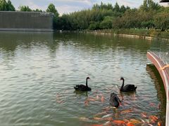 -春晖园度假酒店温泉