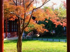 -堤角公园