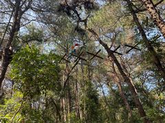 -芦仙山景区-飞越丛林探险乐园