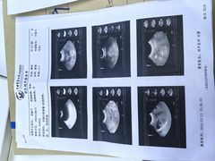 -中国农业大学动物医院