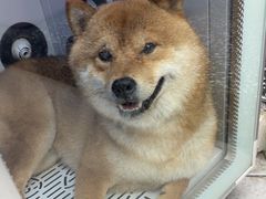 -FAELING PETS美天灵宠物(富力广场店)