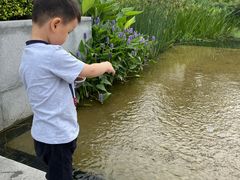 -白鹭湾湿地公园