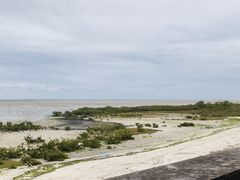 -北海金海湾红树林生态旅游区