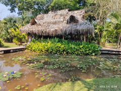 -中国科学院西双版纳热带植物园