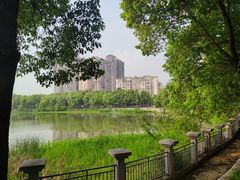 -金银湖国家城市湿地公园