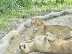-北京野生动物园