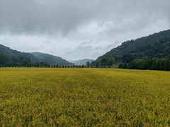 -南泥湾风景区