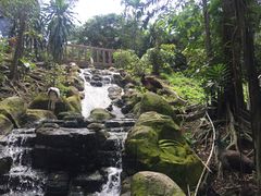 -吉隆坡雀鸟公园