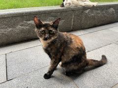 -陆家嘴世纪金融广场
