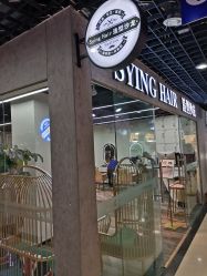 -杉影印象日式烫染專門店