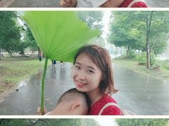 -荷塘月色湿地公园·向阳花洲