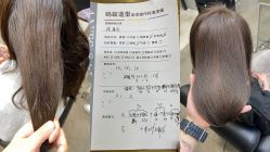 -蚂蚁造型俱乐部