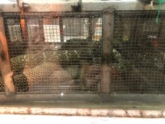 -榕记(番禺总店)
