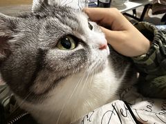 -HANA COFFEE(长寿路店)