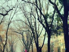 -山东大学(趵突泉校区)