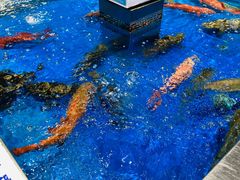 -盒马鲜生(顺义店)