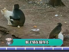 -昆明动物园