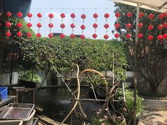-寻味顺德·南记酒家·传统顺德菜·鱼生(广源路店)
