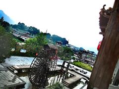 -印象鲵宴·张家界地标美食名片(溪布街店)