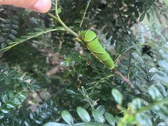 -顺德了能馆(虎门店)