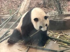 -哈尔滨北方森林动物园