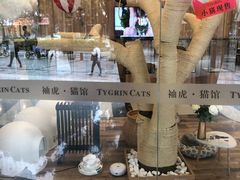 -袖虎·猫馆(体育西路店)